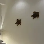 Апартаменты White Jacuzzi *